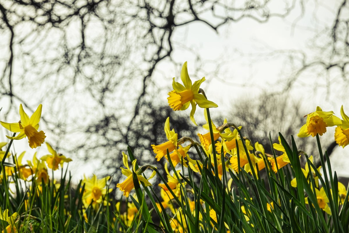 Martin Paterson 🏴󠁧󠁢󠁳󠁣󠁴󠁿 tweet media