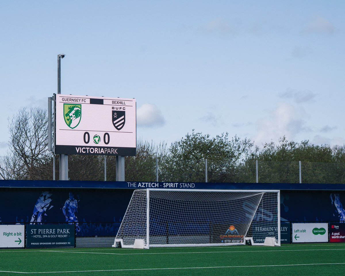 amymarshallcreative tweet media