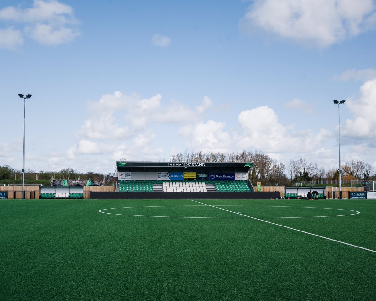 amymarshallcreative tweet media