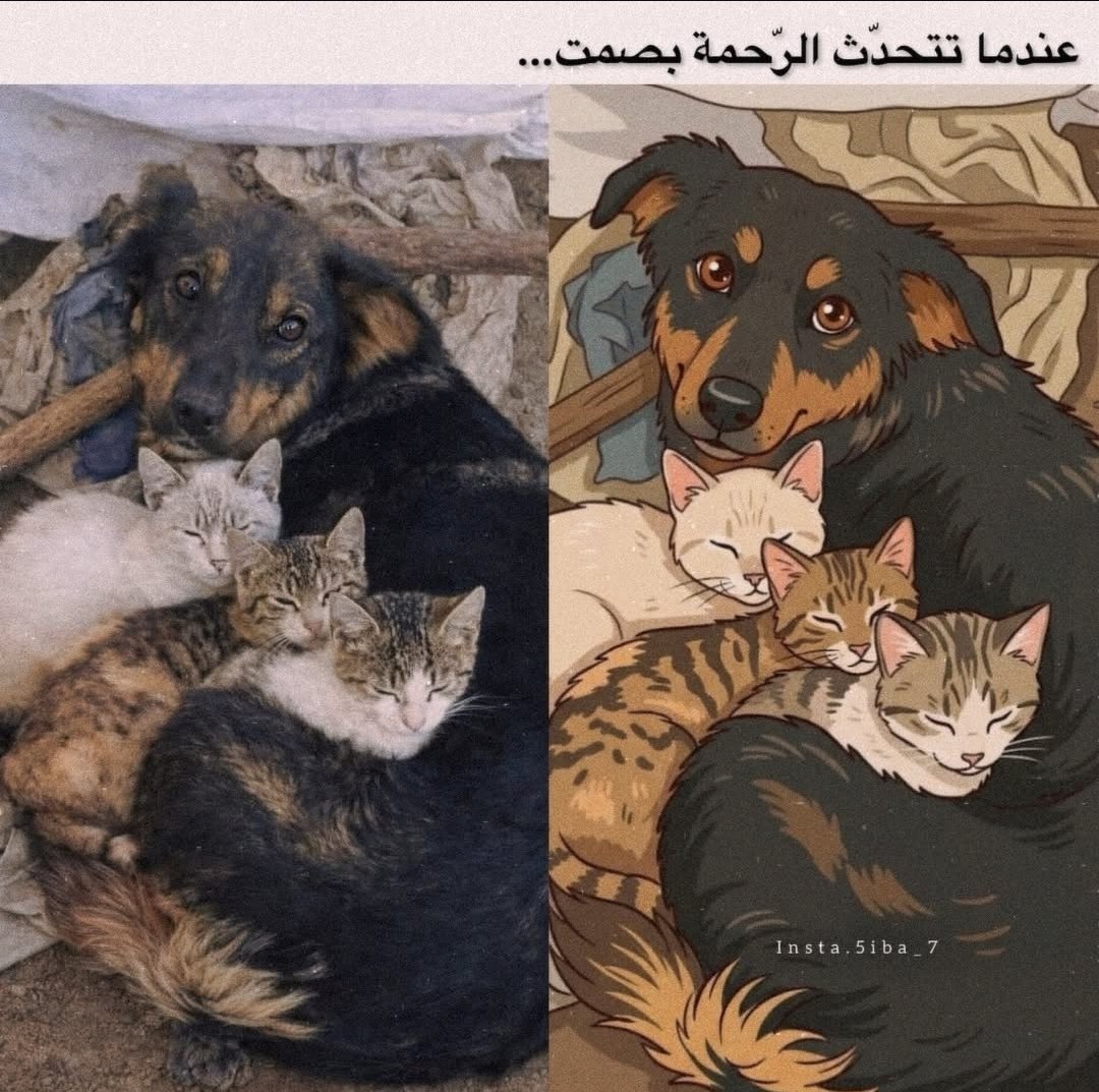 Its_Phatimah's tweet photo. أُمم أمثالكم 🥹 https://t.co/l6iebexrjM