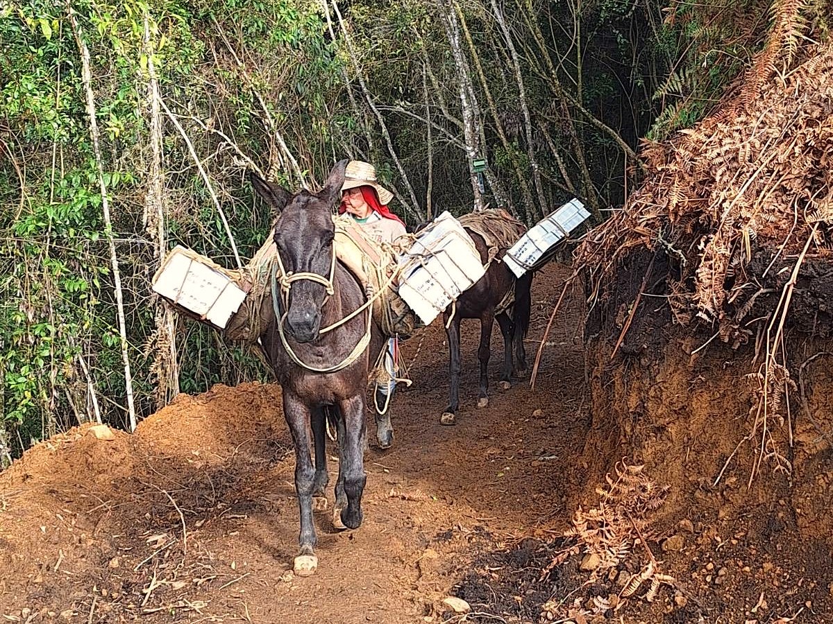 Royal Road Minerals tweet media