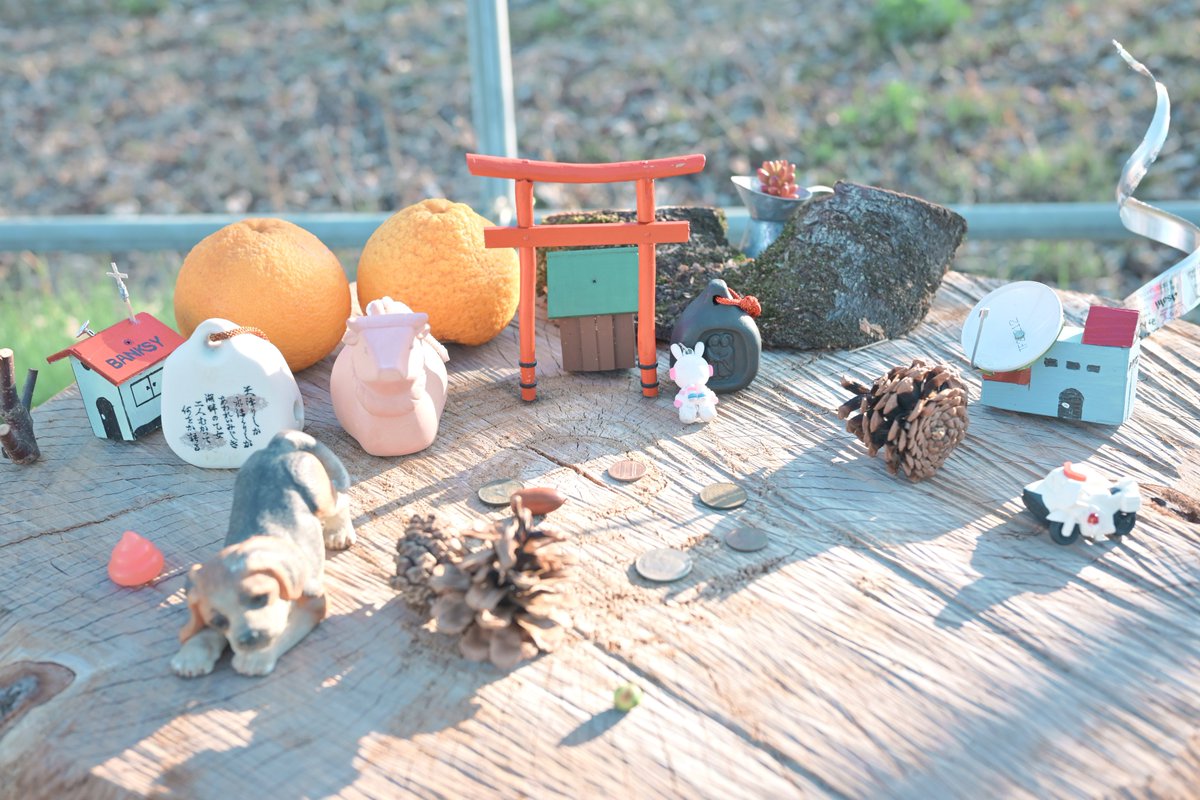 本日の多摩湖自転車道🚲
パワーアップしてる！！！