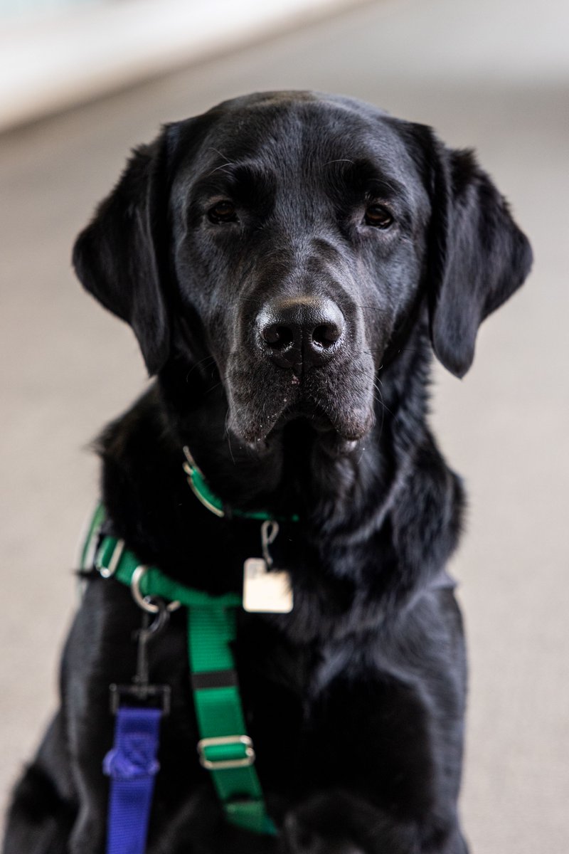 University of Iowa Health Care tweet media