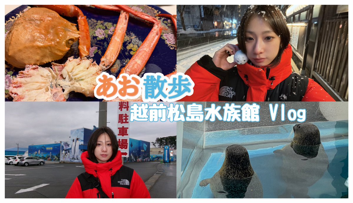 安達葵紬 tweet media