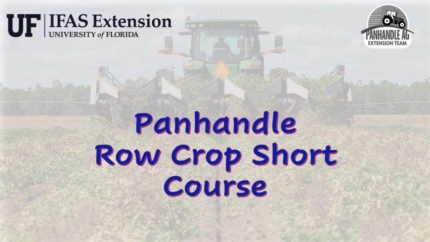 UF/IFAS Panhandle Ag tweet media