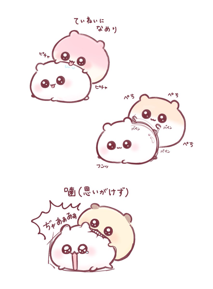 もっちりはむ tweet media