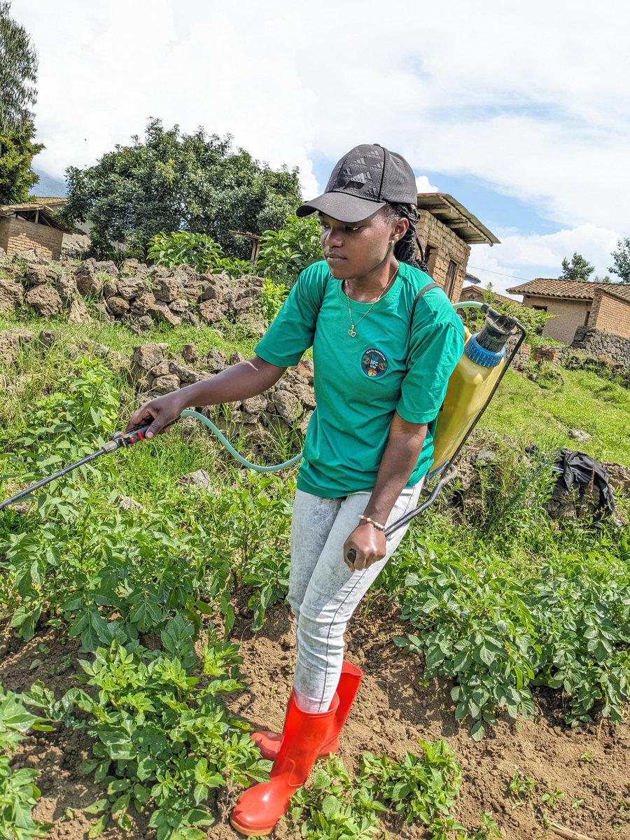 Gnadexfn's tweet photo. Many don't even k ow that Agriculture is an Amazing,
Hello Farmers Enthusiasts.
Keep your Good works and Hardworking. To harvest money later.#GreenRwanda #foodfact https://t.co/rD8nxeNIjj