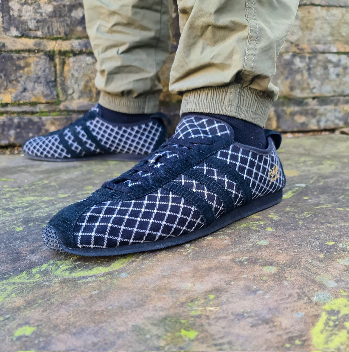 adiFamily tweet media