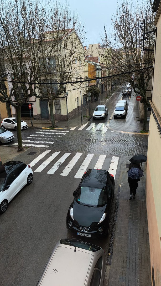 Anna Paradís tweet media