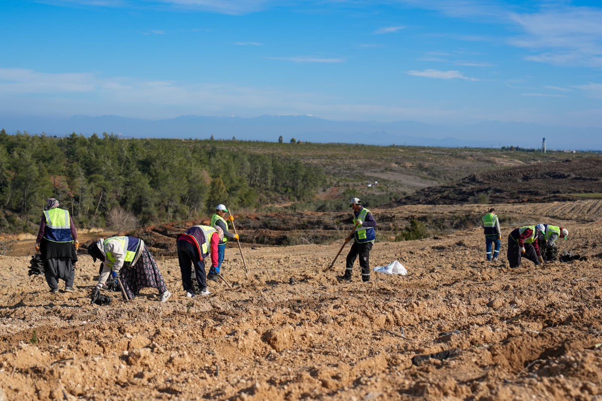 T.C. Tarım ve Orman Bakanlığı tweet media
