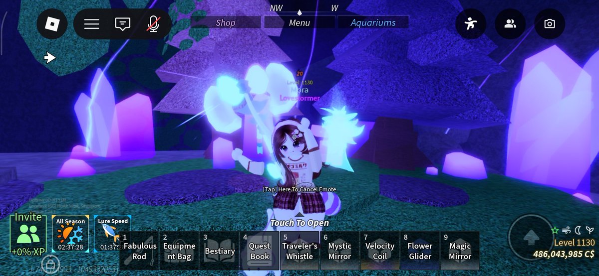 🐈‍⬛ tweet media