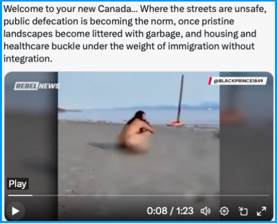 Tina Wang tweet media