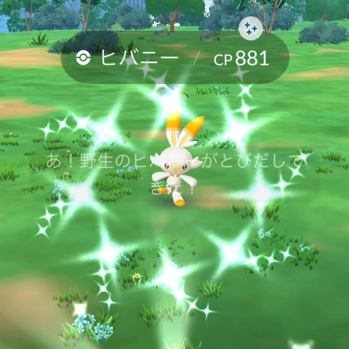 あらあら@低浮上 tweet media