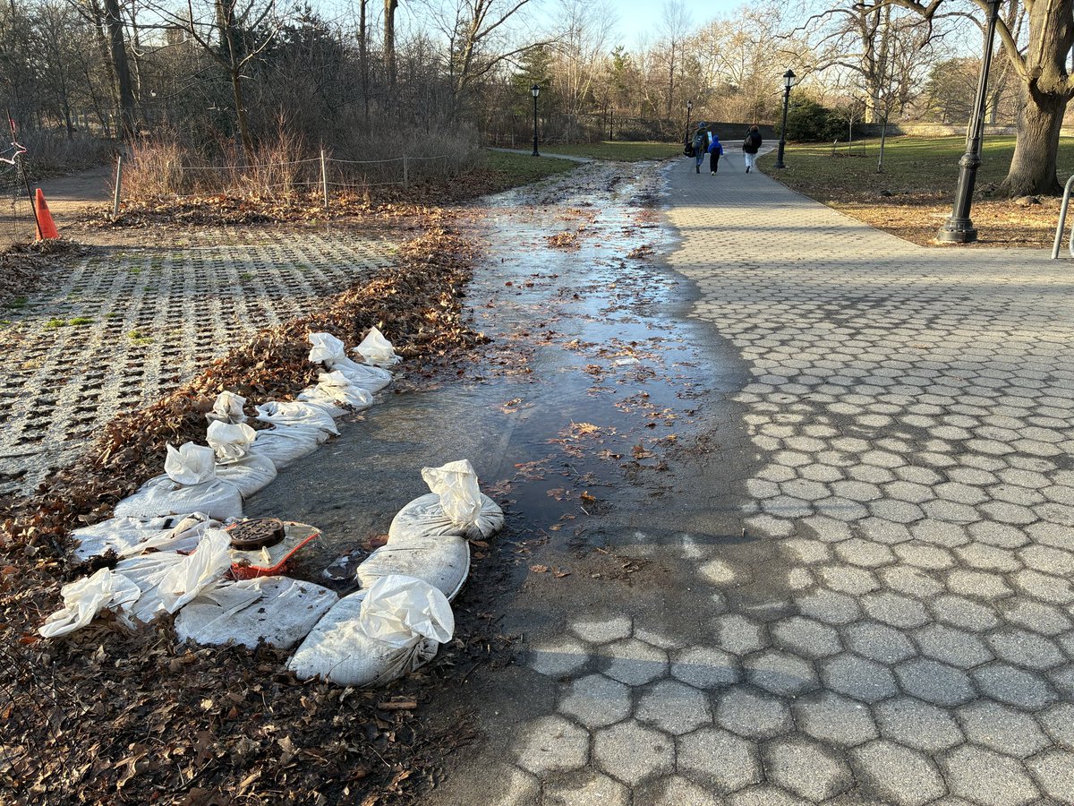 Stephen Brown tweet media