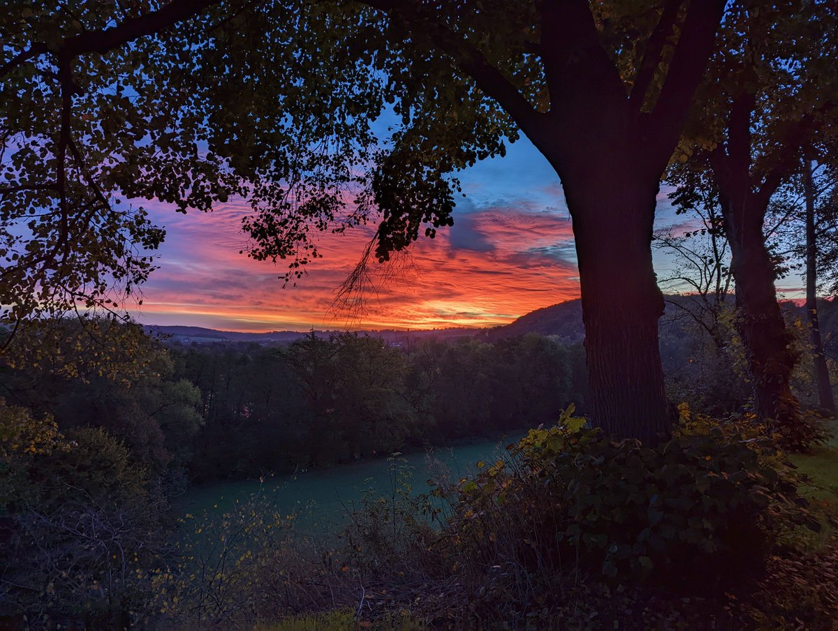 CryptoParsel tweet media