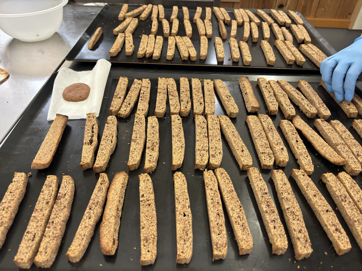 カカオ研究所 tweet media