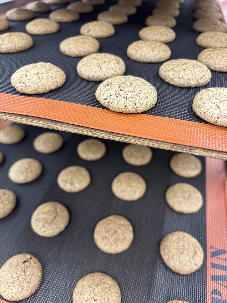 カカオ研究所 tweet media