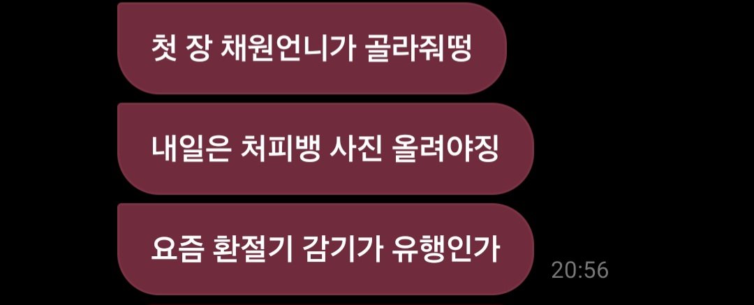 채채즈 파일 tweet media