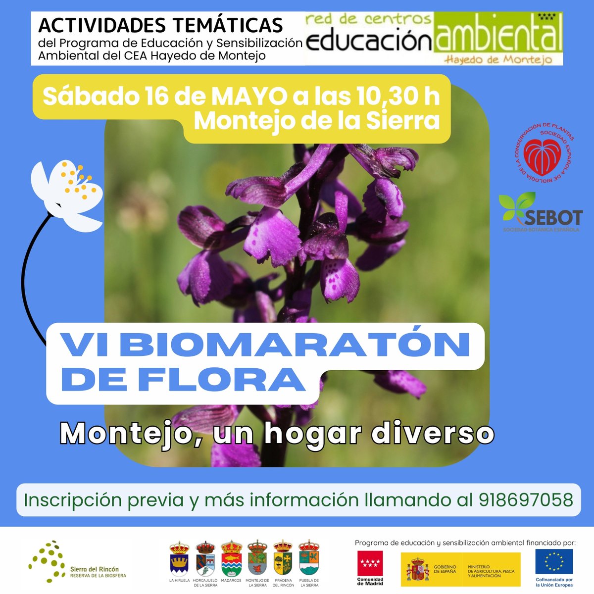 Biomaratón de Flora Española tweet media