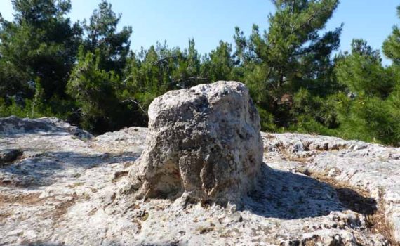 Jeffrey van der Lugt tweet media