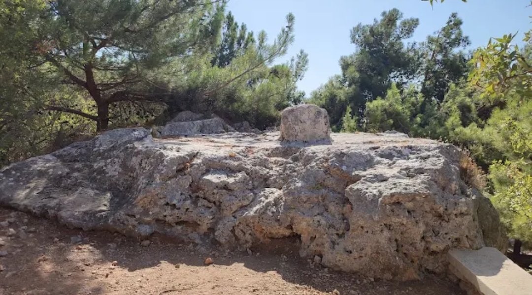 Jeffrey van der Lugt tweet media