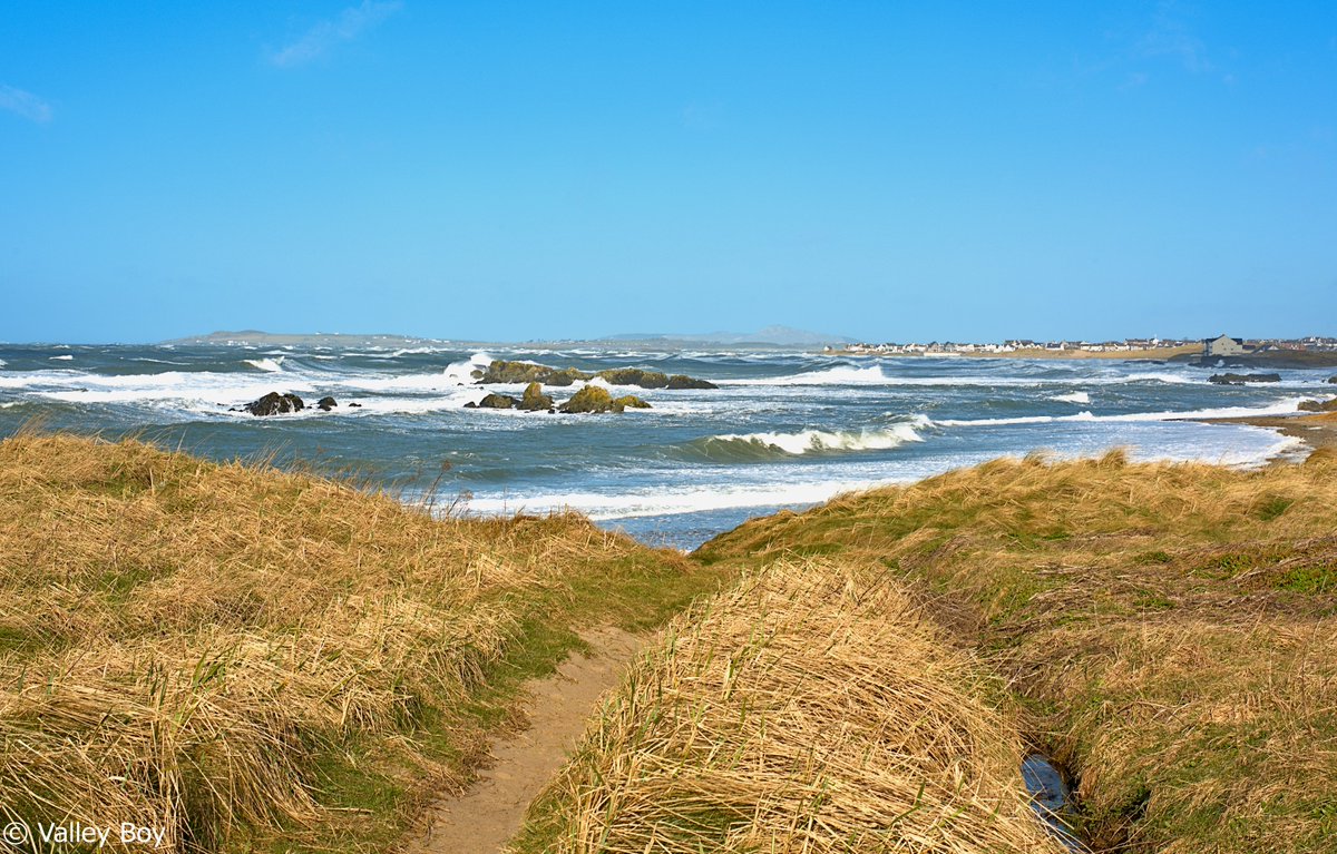 ValleyBoy tweet media