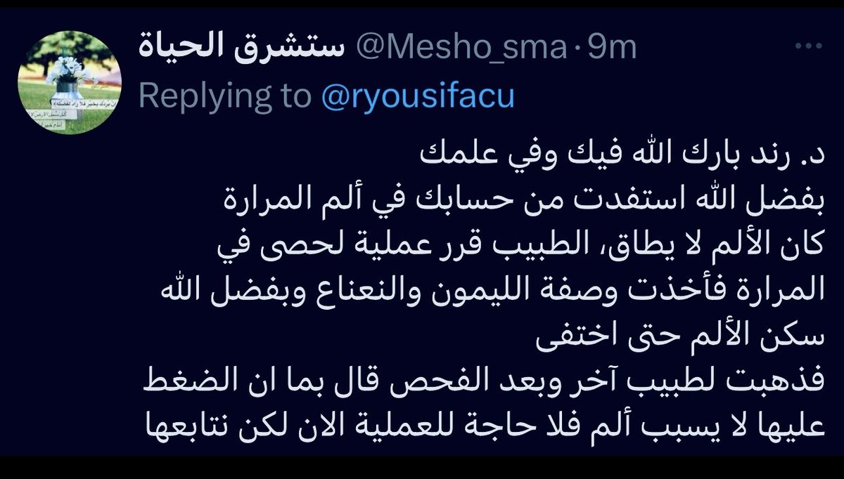 Rand Hamid الصفحة الرسمية tweet media