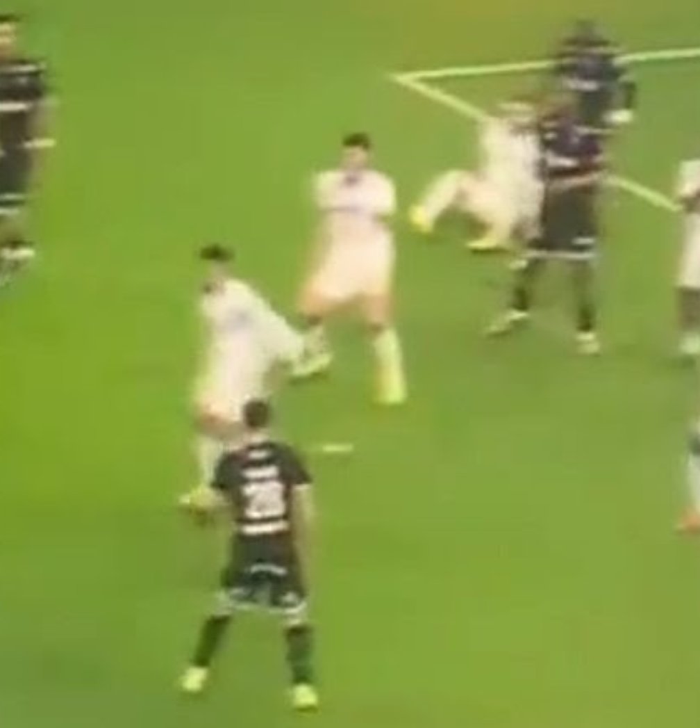 omforever tweet media