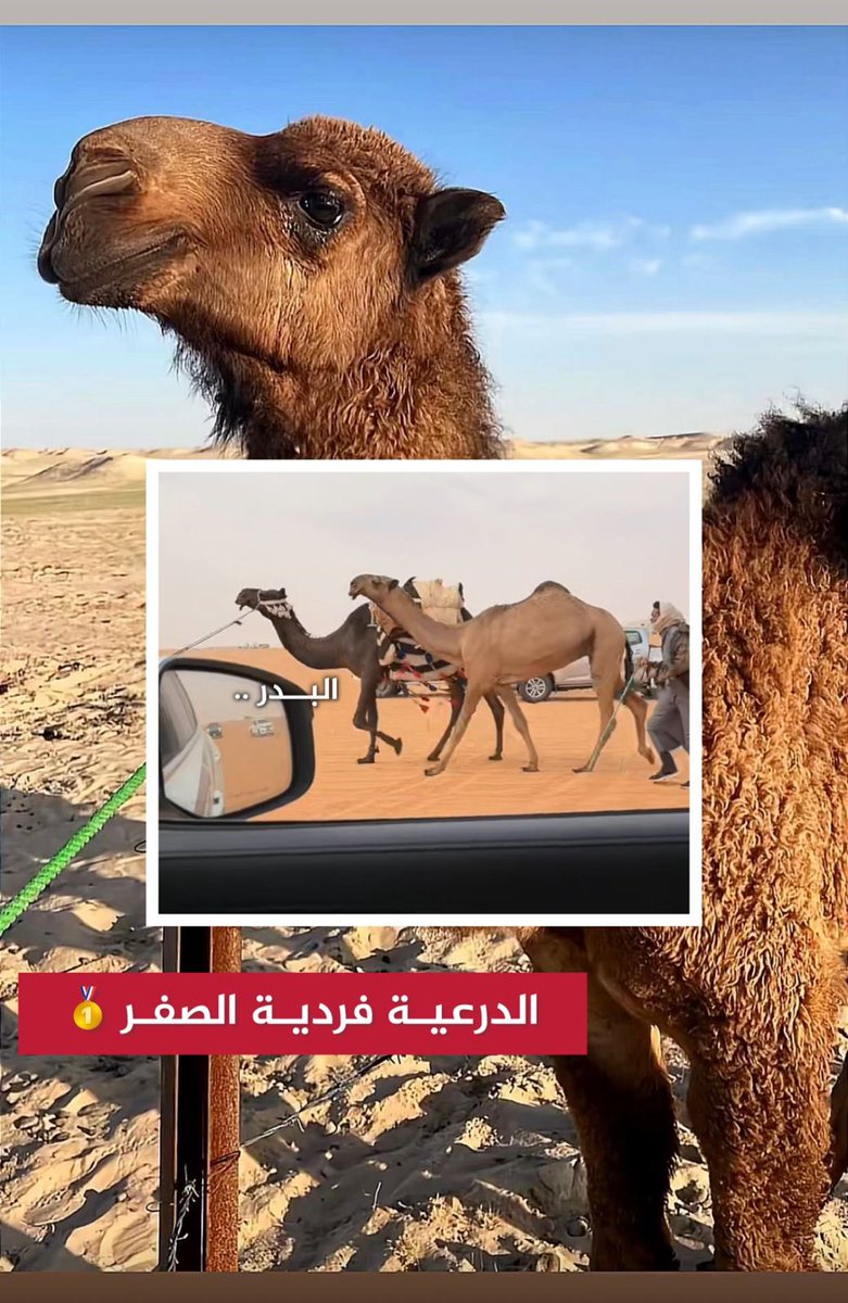 عاشق الوضحا .. al Bader 🅱️ tweet media