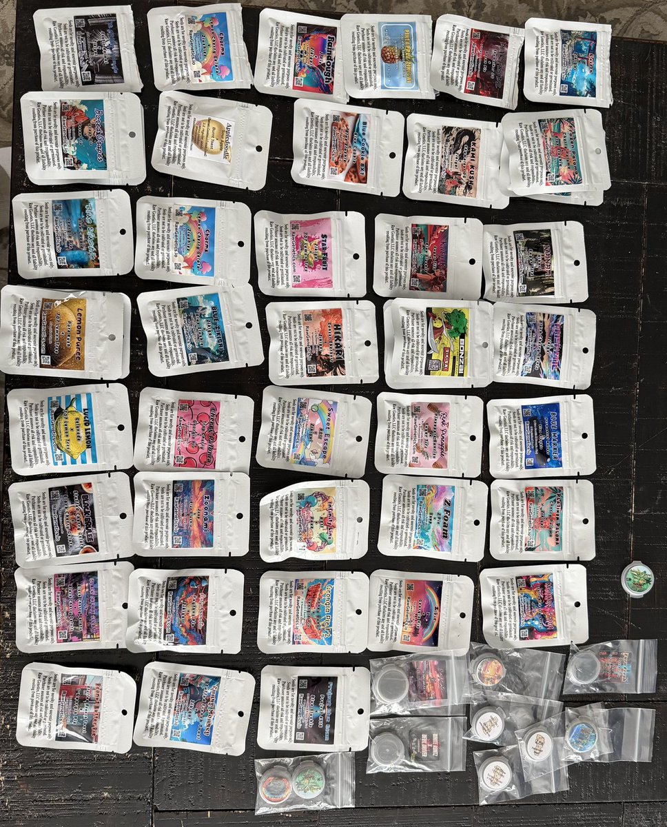 MAGADONIAN Maniac 🦍🦍🦍 tweet media