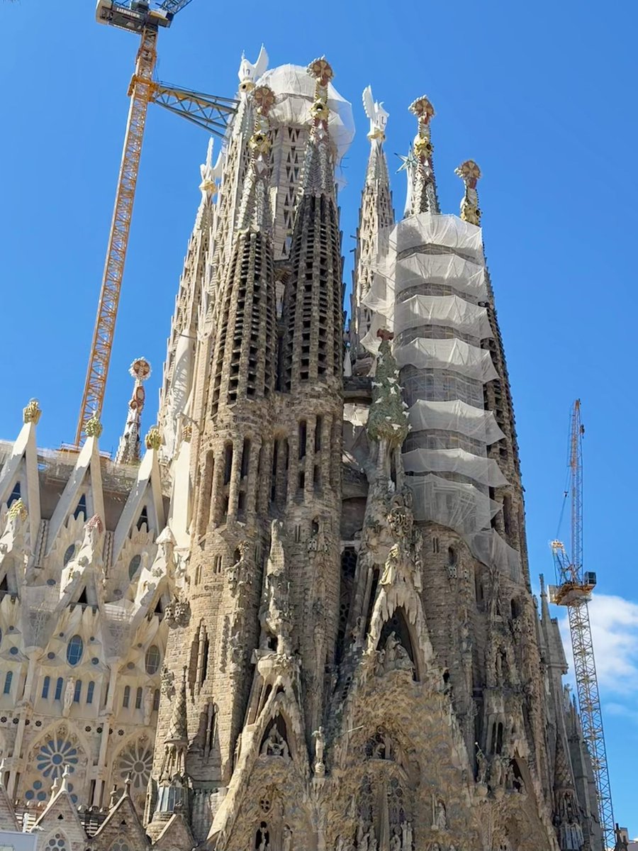 털돼지 tweet media