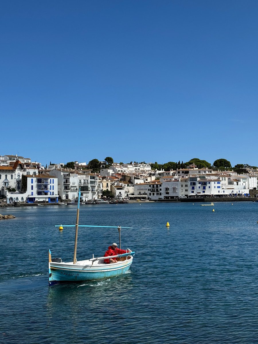 털돼지 tweet media