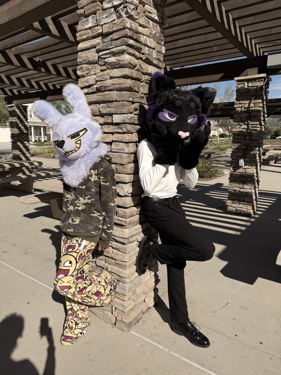 🐈‍⬛Iggyify💜-OPEN COMMS tweet media