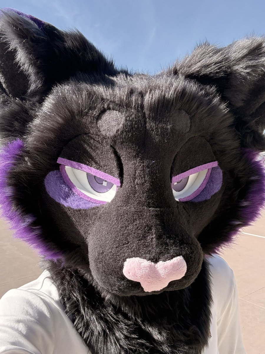 🐈‍⬛Iggyify💜-OPEN COMMS tweet media