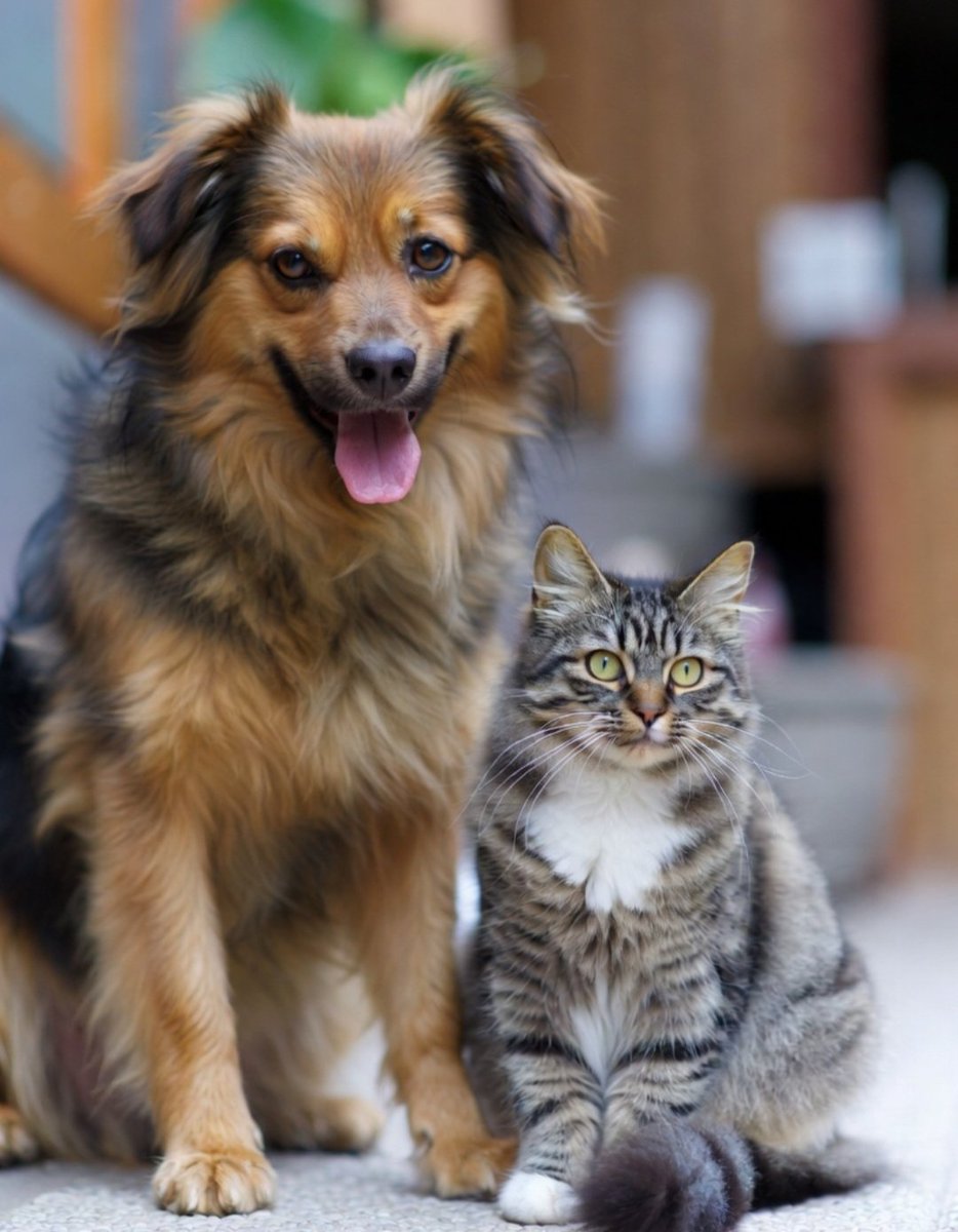 Catalina Lander tweet media