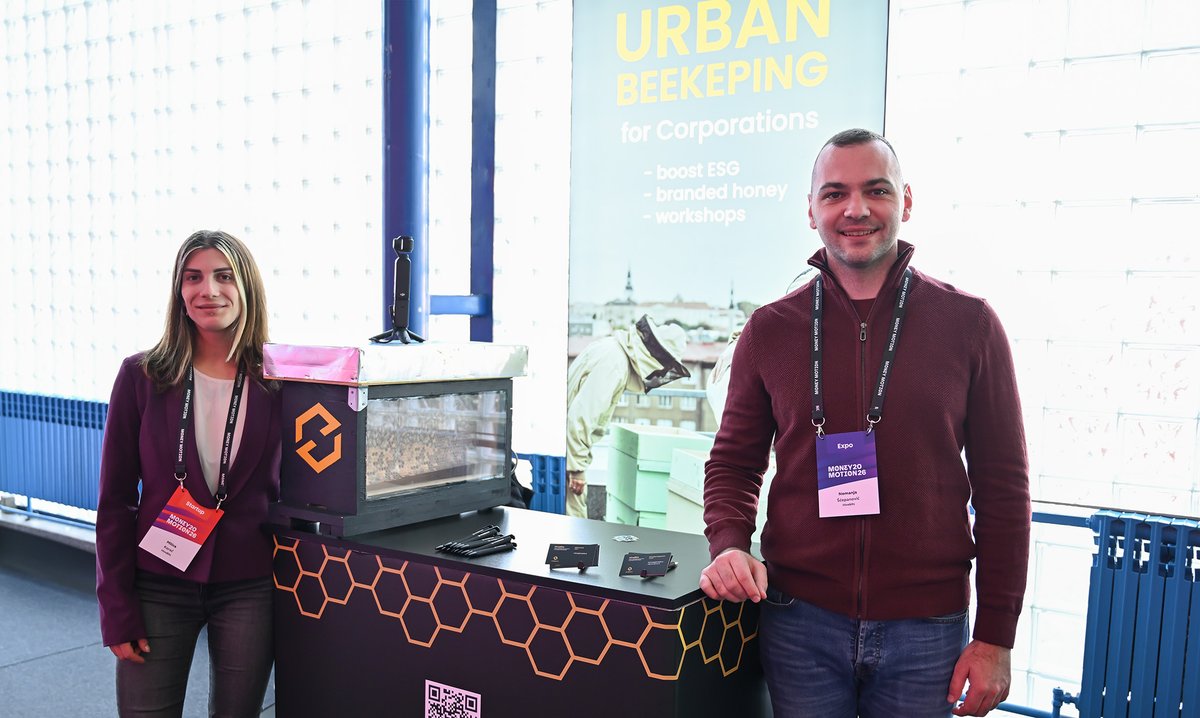 HiveBits tweet media