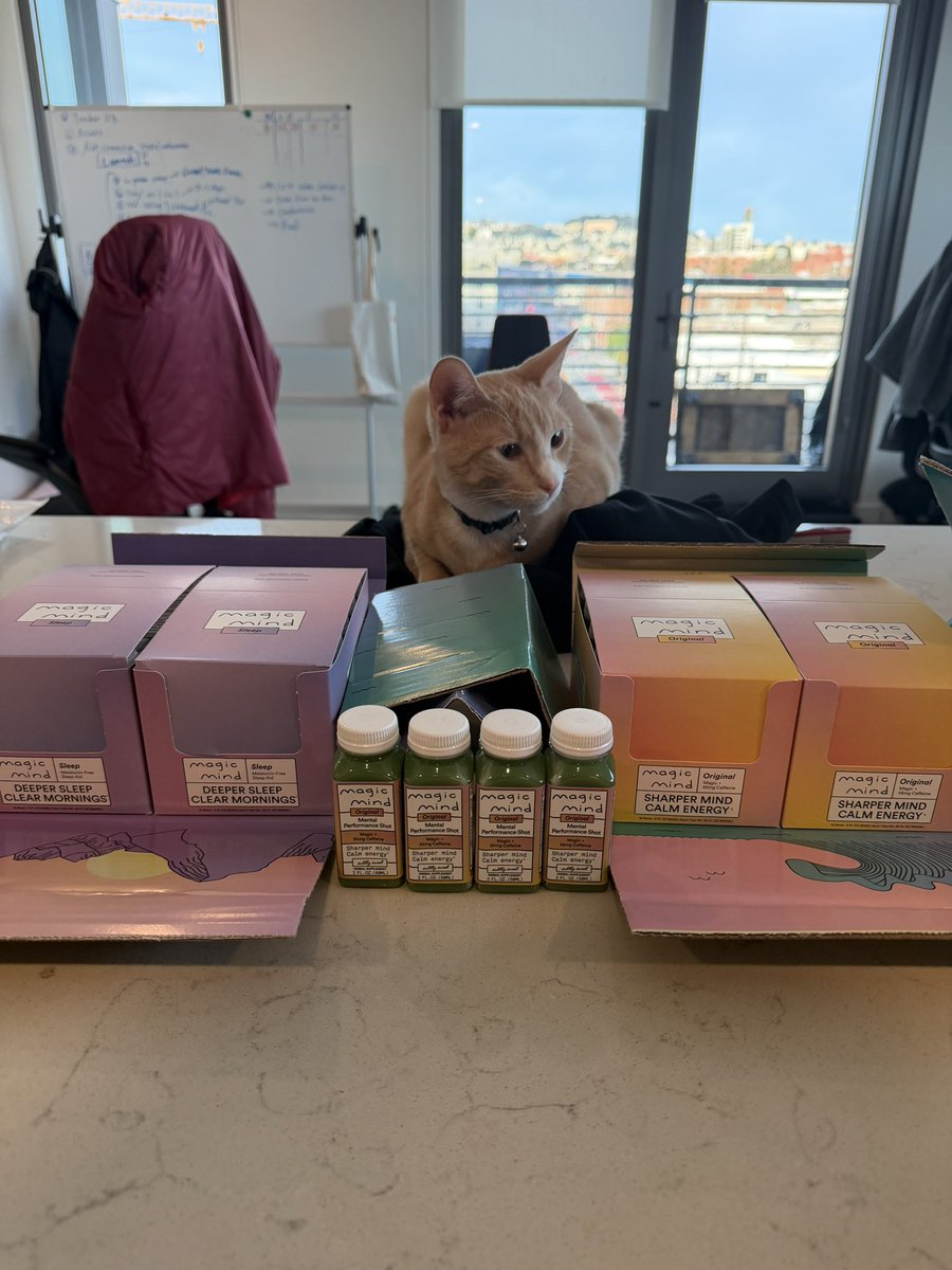 Shoya Matsumori tweet media