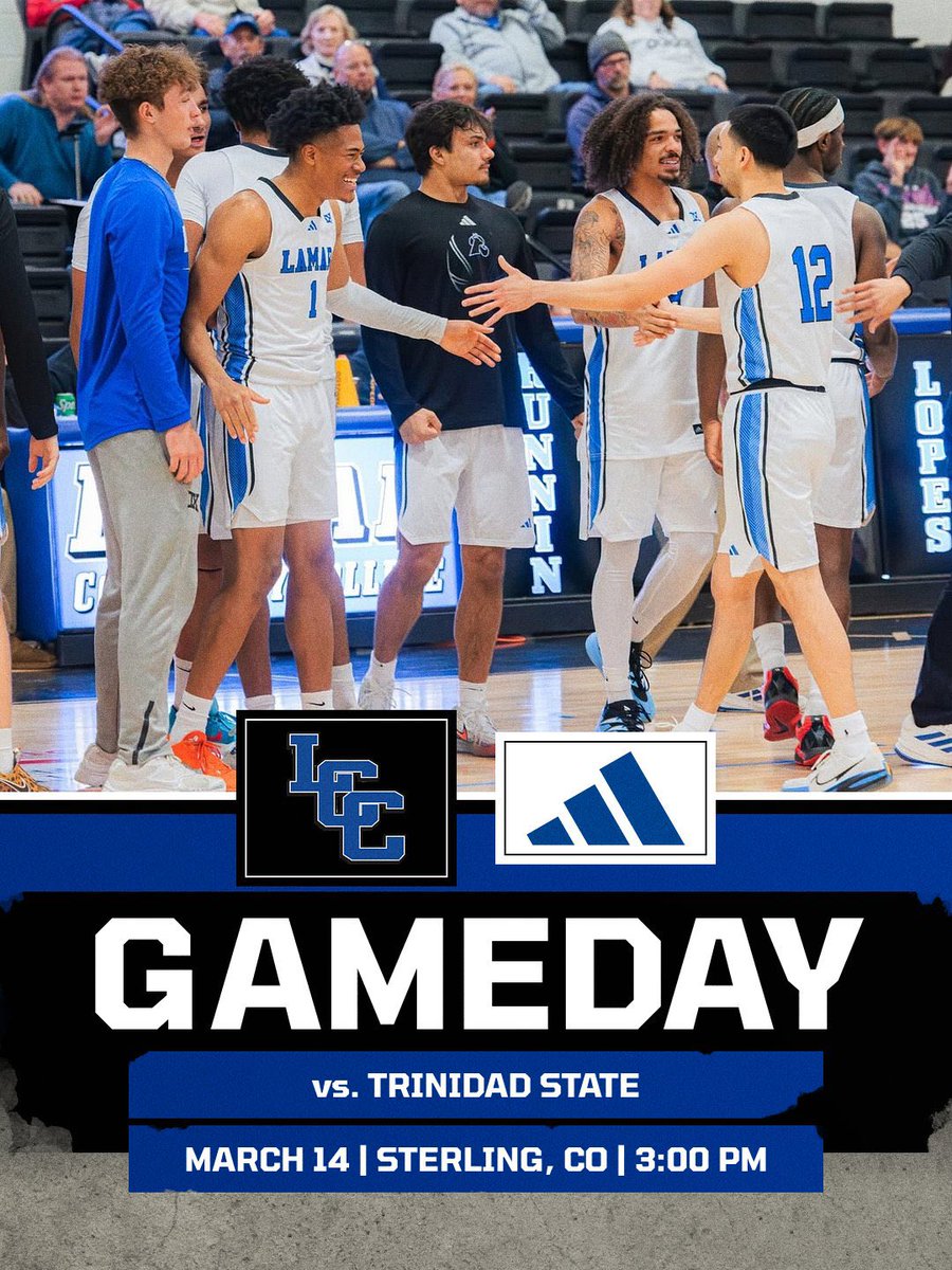 Lamar CC Basketball tweet media