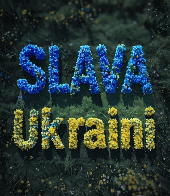 Mimi 🇫🇷🇪🇺 tweet media