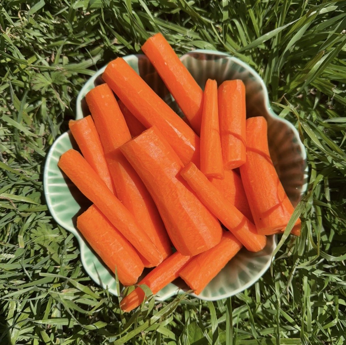 bunny ˖⁺‧₊˚ tweet media