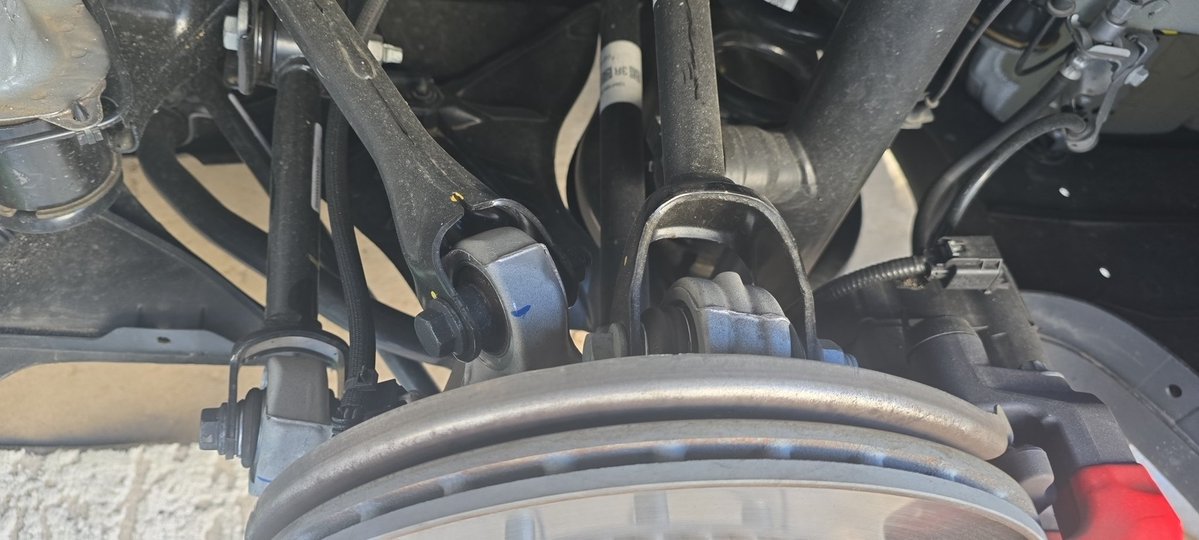 Tim Hoyer🚀 tweet media