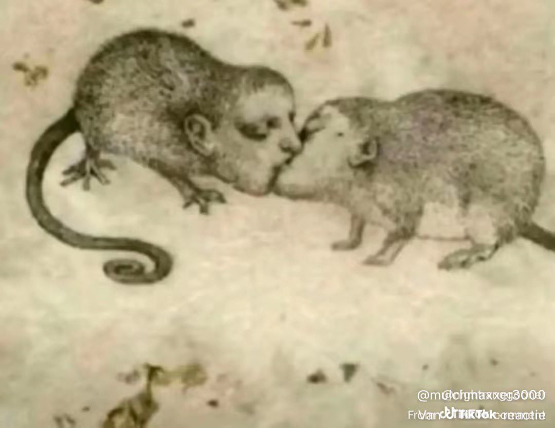 🇪🇺🌹 tweet media