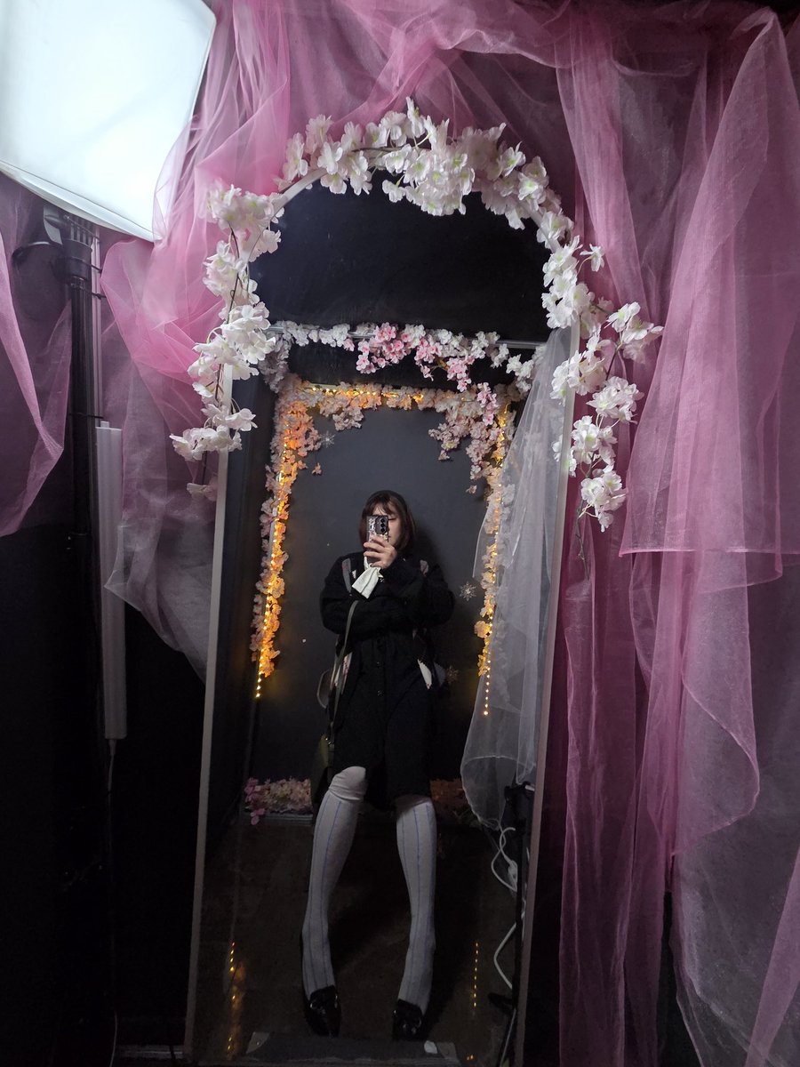 바이올렛 tweet media