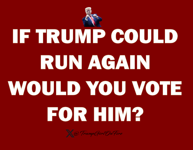 ✞🎀TrumpGirlOnFire 🔥 tweet media