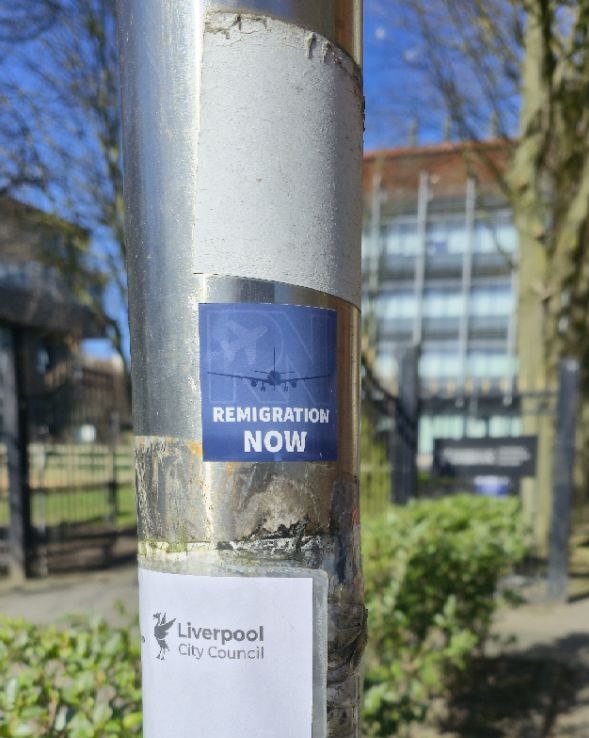 Remigration Now tweet media