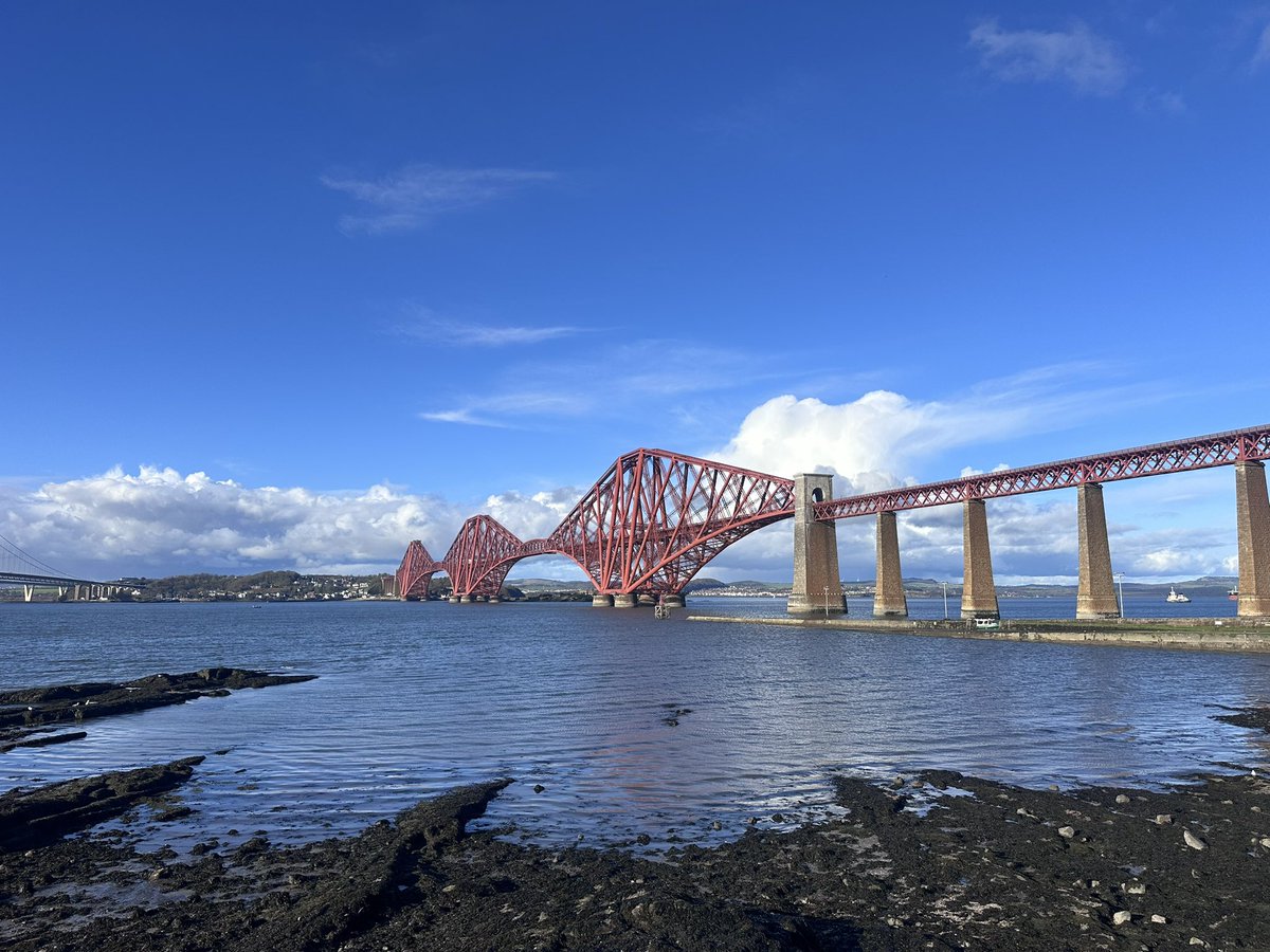 PJ Poppins tweet media