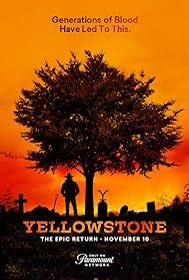 Lady Market tweet media