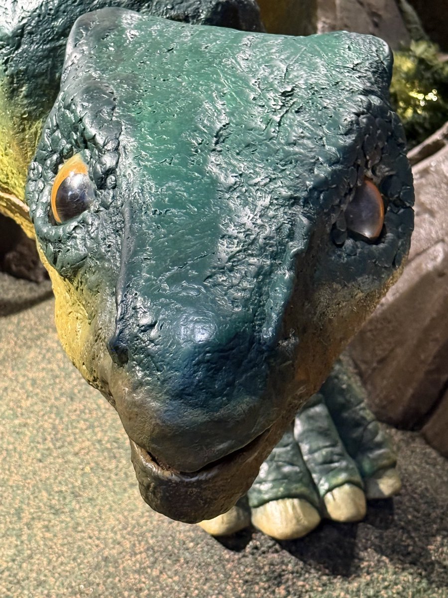 Danny Nanni 🎮 tweet media