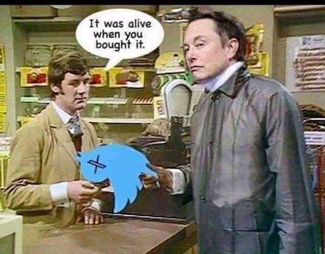 Kevin  May (@yam_nivek) on Twitter photo 