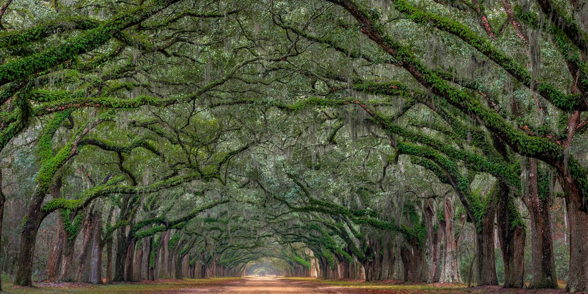 Punisher ττ tweet media